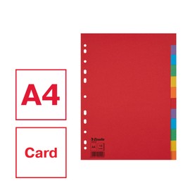 Esselte Leitz Register Karton A4 Multi-Colour 12 tabs multicoloured