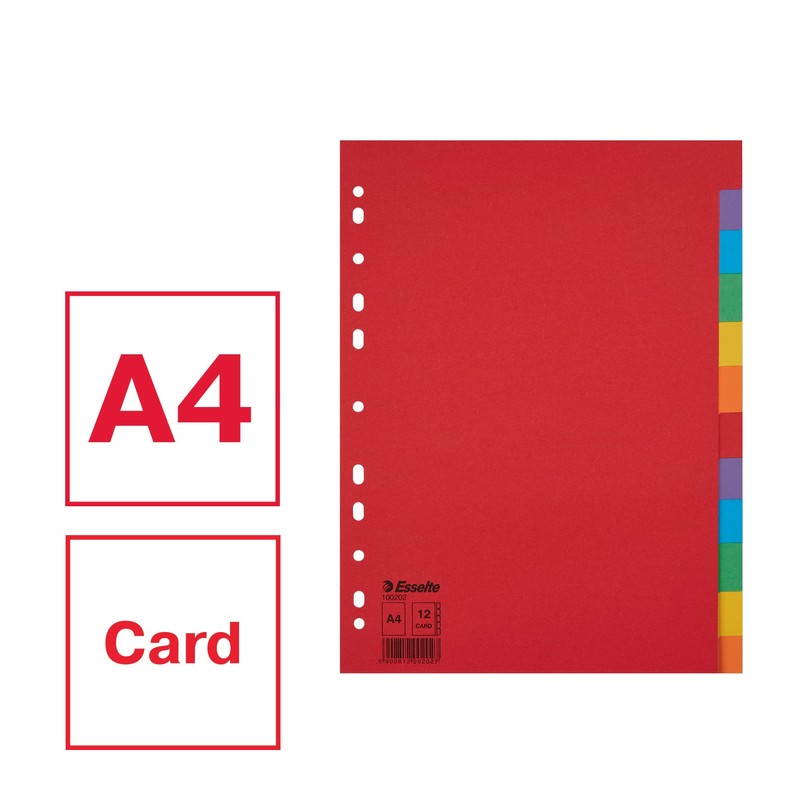 Esselte Leitz Register Karton A4 Multi-Colour 12 tabs multicoloured