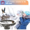 XpenGeny Bird Bath Heater for Outdoors in Winter, Birdbath Water