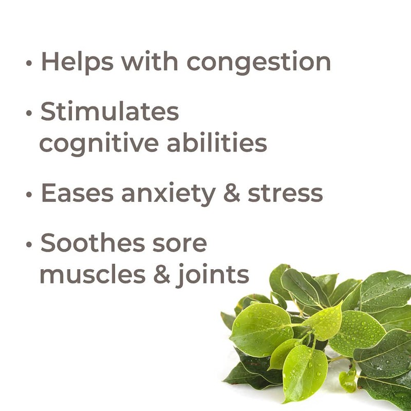 Plant Therapy Ravintsara Essential Oil 10 mL (1/3 oz) 100%