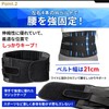 ［発売記念特価］ 腰痛ベルト 腰 サポーター 骨盤ベルト 腰痛 コルセット 男女兼用 【FREE BIRD】