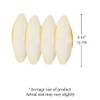 SunGrow 4 Pack Large 6-inch Cuttlefish Bones for Cockatiels, Turtles,