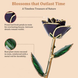 Gold Dipped Rose - Dipped 24K Gold Real Rose - Genuine One of a Kind - Eternal Romantic Present for Her - Perfect for Valentine's Day, Mother's Day, Anniversary, Birthday (Purple)