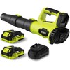 Leaf Blower, 21V Cordless Electric Blower with 2 2.0Ah Batteries
