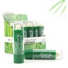 Beauty4Britain 36 x Lip Balm Aloe Vera Full Size 3