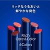 Nivea Rich Care & Color Lip Bordeaux