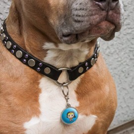 GRAPHICS & MORE Wonder Woman Cute Chibi Golden Lasso Chrome Plated Metal Pet Dog Cat ID Tag