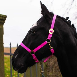 Mini Shetty Headcollar for Wooden Horse, 2-Way Adjustable Halter for Horses on Chin & Headpiece (Pink, Mini Shetty)
