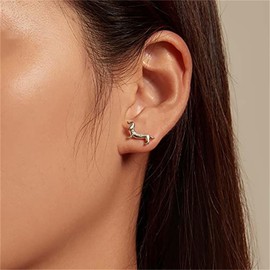Inilbran Boho Puppy Dog Earrings Vintage Dachshund Dog Cute Earrings Splitter Dog Funny Earrings Tiny Dachshund Viennese Dog Earrings Jewellery for Women and Girls, Zinc