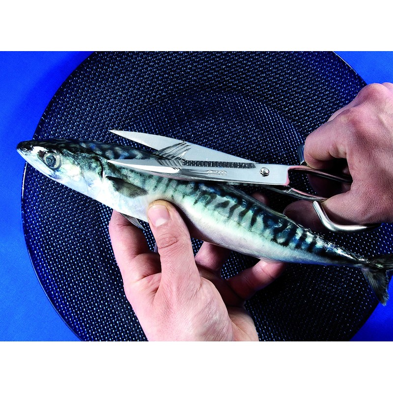 Arcos Series ecopro-Kitchen Scissors 200 mm (7.87 Inches) -Handle Stainless