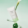 SKIN1004 [SKIN1004]*renewal* Madagascar Centella Tea-trica B5 Cream 75ml