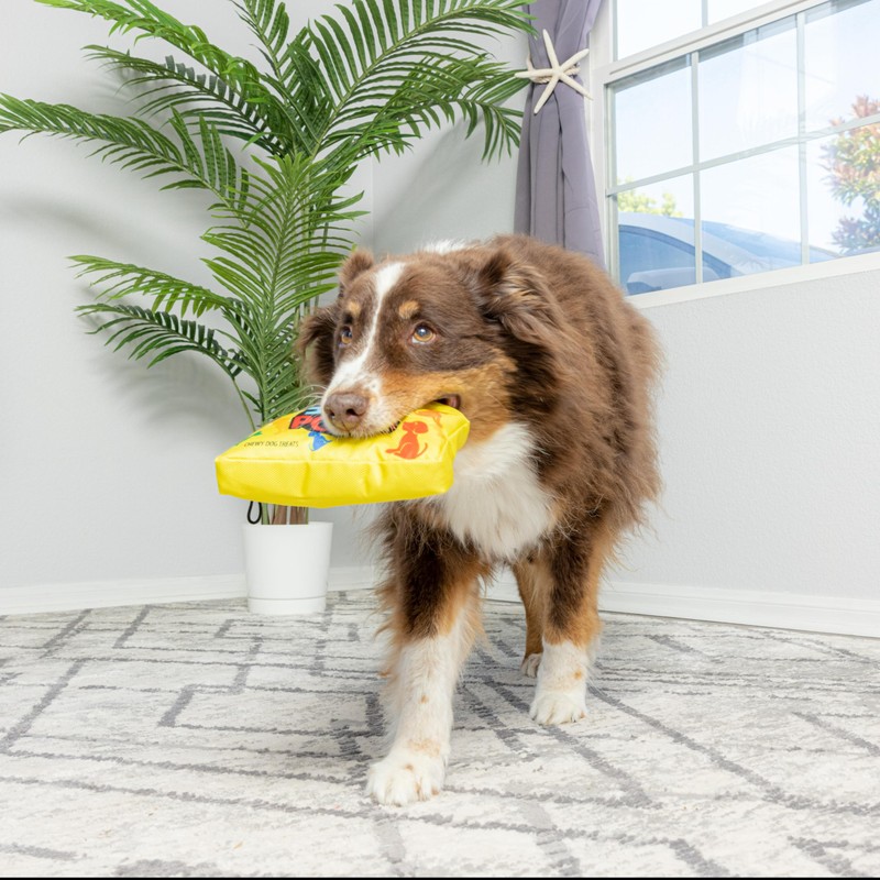 SPOT Fun Candy - Whimsical Funny Dog Squeak Toy -