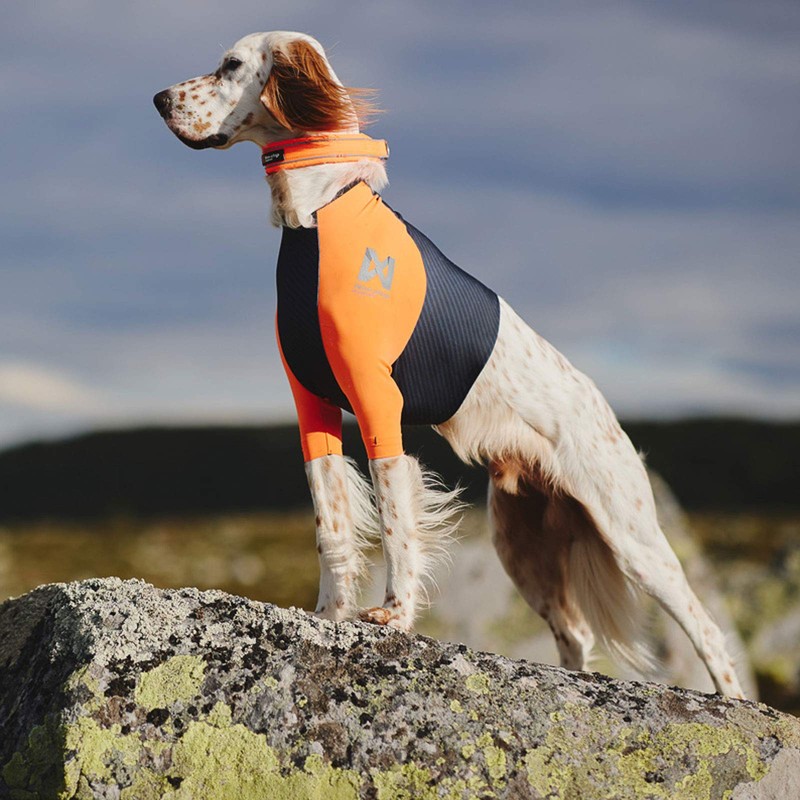 Non-stop Dogwear Protector T-Shirt | 920| for Extra Protection, Size: