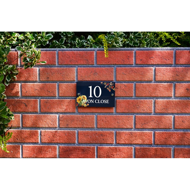 Badgemaster Modern Anthracite House Number Sign Plaque Stainless Steel Standoffs