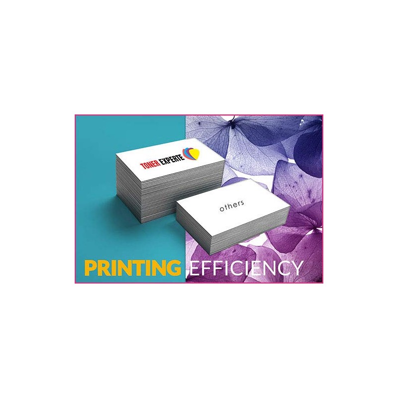 TONER EXPERTE LC1000 10 XL Printer Cartridges Compatible with DCP-130C