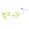 Muji 15252589 Sunscreen Milk for Sensitive Skin SPF27 150ml