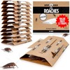 Super Ninja Roach Traps Indoor – 6 Pack, Roach Killer