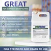 Vital Oxide Disinfectant, Deodorizer, Cleaner, Food-Contact Sanitizer, Virucide – (EPA