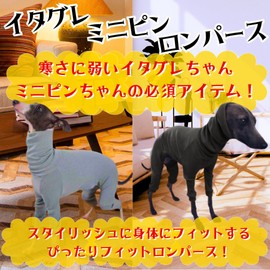 LEONIA Italian Greyhound Italian Greyhound Miniature Pinscher Advanced Elastic Rib Fabric Cold Hair Loss Cooling Countermeasure Small Dogs Single Coat Short Breed (Gray, M)