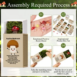 Cinnvoice 25 Sets Affirmation Mini Luminous Resin Appreciation Gift Box Breathing Gift Bulk for Coworker Emotional Mental Health Care Support Anxiety Sensory Steps Gifts for Team School Xmas, Mushroom