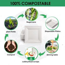 Gezond Compostable Square Plates 6 Inches, 50pcs Disposable Paper Plates, Eco-Friendly Heavy Duty Biodegradable Sugarcane Plates for Party, White