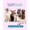 Pastelito Instantáneo para Perros, 100% Natural, Sin Gluten, Sabor Camote,