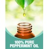Ethereal Nature 100% Pure Oil, Peppermint, 1.01 Fluid Ounce
