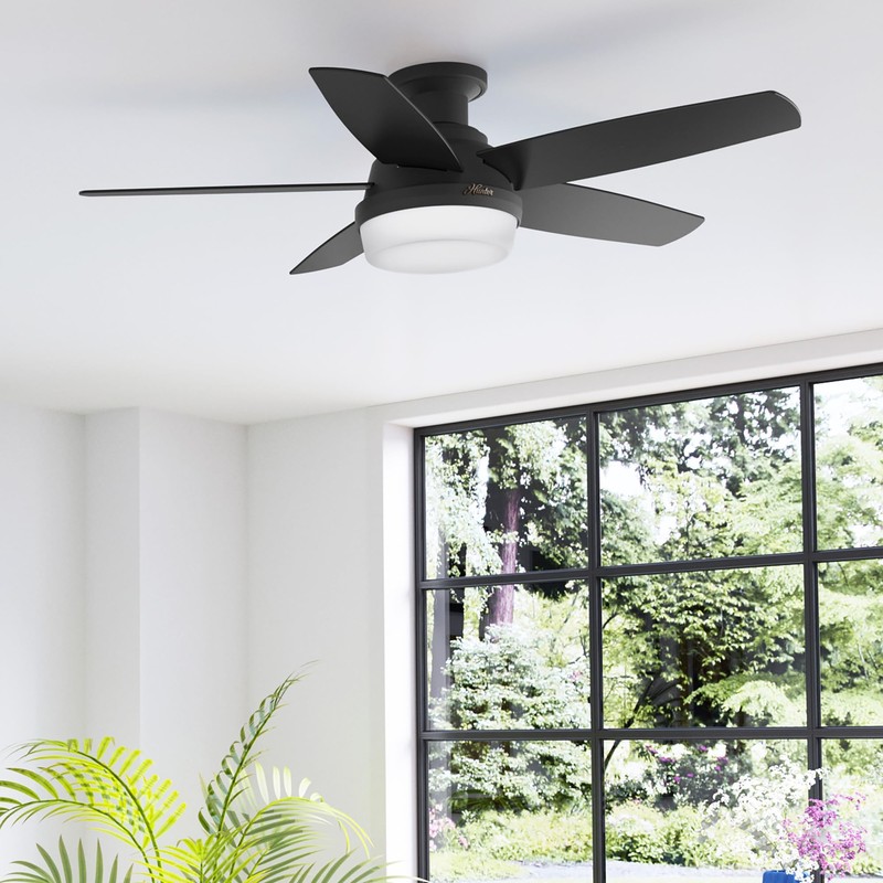Hunter Fan 48 Inch Black Ceiling Fan with LED Light