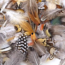 Ballinger 180 Pcs 9 Style Natural Feathers Assorted for Dream Catcher DIY Crafts Decor
