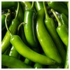Everwilde Farms - 1/4 Lb Serrano Hot Pepper Seeds -