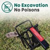 Garsum Mole Traps That Kill, EasySet Eliminator Black Scissor Traps,