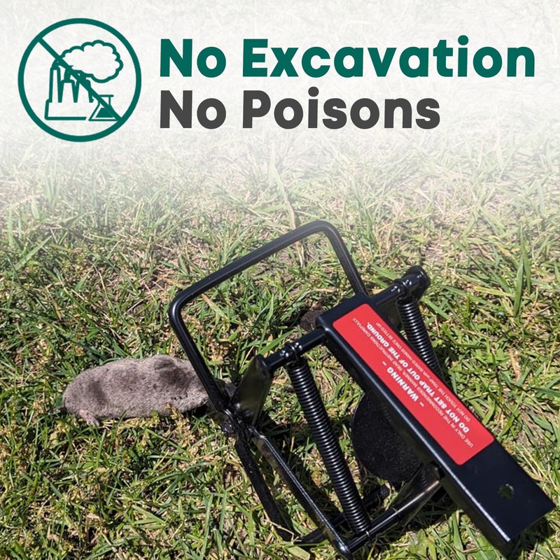 Garsum Mole Traps That Kill, EasySet Eliminator Black Scissor Traps,