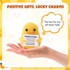 LILELIG Positive Duck, Cute Crochet Duck, Pocket Hug Positive Duck,