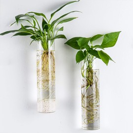 Kingbuy Wall Hanging Planter Glass Plant Propagation Station for Home Office Decor, Large Cylinder, 4 Pack