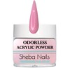 SHEBA NAILS State Board Sealed Odorless Acrylic Nail Mini Kit