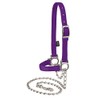 Weaver Leather Livestock Nylon Adjustable Sheep Halter with Chain Lead