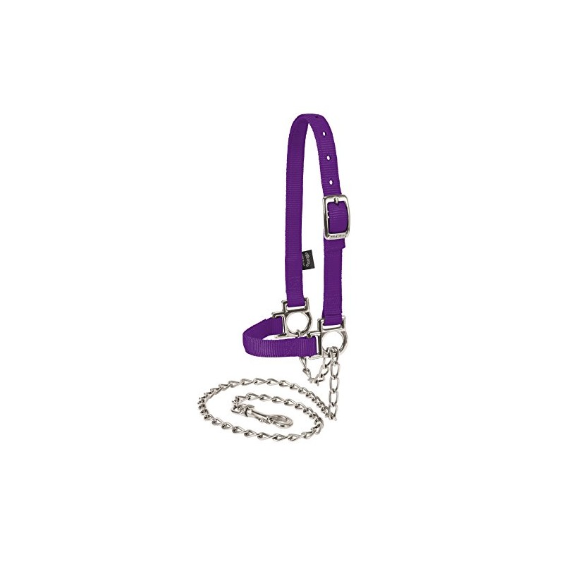 Weaver Leather Livestock Nylon Adjustable Sheep Halter with Chain Lead