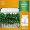 2nd Springs Vitamin D3 2000 Iu + K2 Masticables Cereza