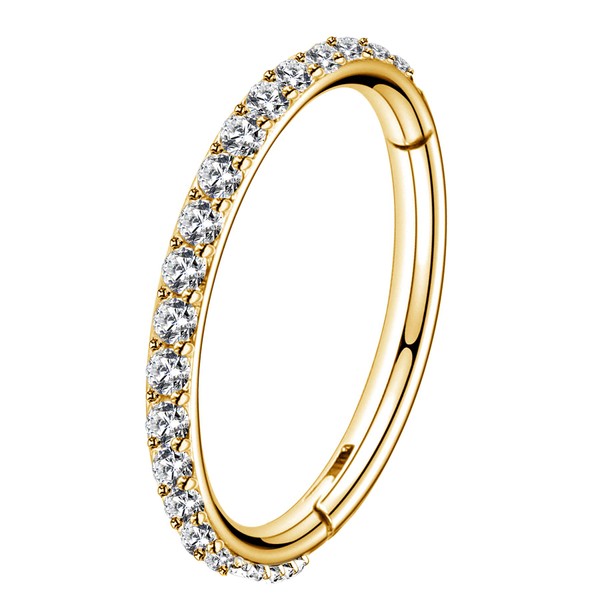 OUFER Gold Hinged Segment Earring Hoop 16G Stainless Steel with