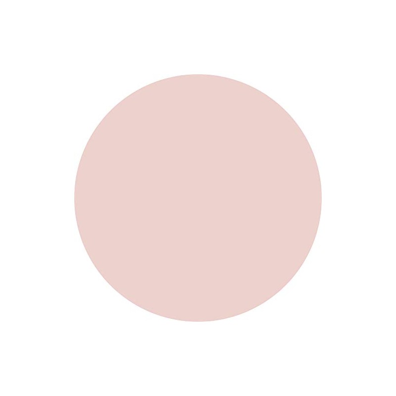 Preanfa PGU-M316 Color Gel Lapin Beige 316 0.1 oz (3