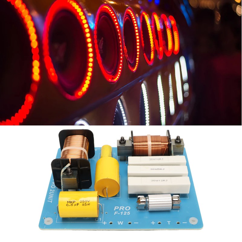 2 Way Crossover 800W Maximum Treble Bass Professional Frequency Divider