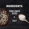 DAVID SEEDS Roasted and Salted Original Jumbo Sunflower Seeds, Keto