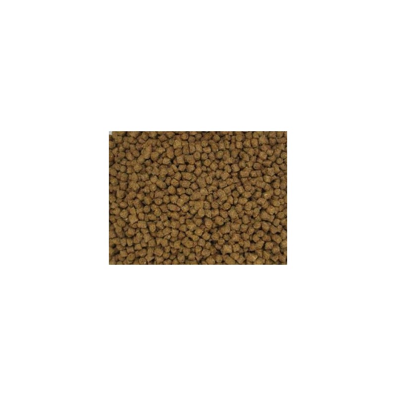 Invert Aquatics NutriSpheres - Sinking Diet for Snails, Shrimp &