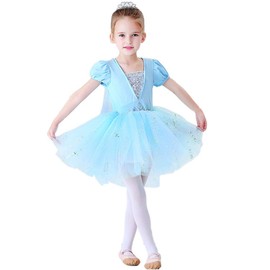 Lito Angels Princess Ballet Dress Ballerina Costume Ballet Dress for Children Girls Ballet Jersey Dance Body with Tutu Short Sleeve Dance Dress Size 2-8 Years, Elsa (With Cape)