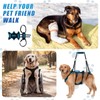 Yeyeplum Dog Lift Harness for Large Male Dogs, 2-in-1, Back