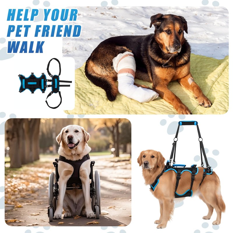 Yeyeplum Dog Lift Harness for Large Male Dogs, 2-in-1, Back