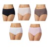 Carole Hochman Ladies' Seamless Brief, 5-Pack, Variety (Black,Nude,White,Brown, Pink, Large)