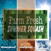 Farm Fresh Summer Squash Yard Sign 5 Pack of 18