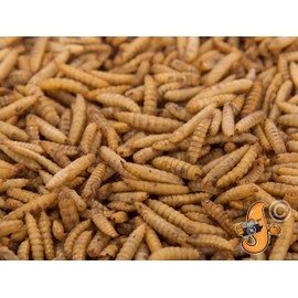 2Lbs Chubby Dried Black Soldier Fly Larvae - 100% MADE IN THE USA - Wild Bird / Chicken Treats