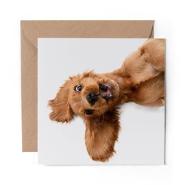 1 x Greeting Card English Cocker Spaniel Puppy Dog - Blank Birthday Celebration Anniversary #21501